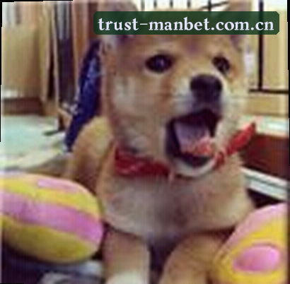 李阳